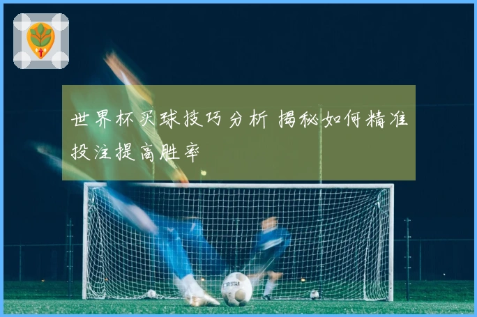 世界杯买球技巧分析 揭秘如何精准投注提高胜率
