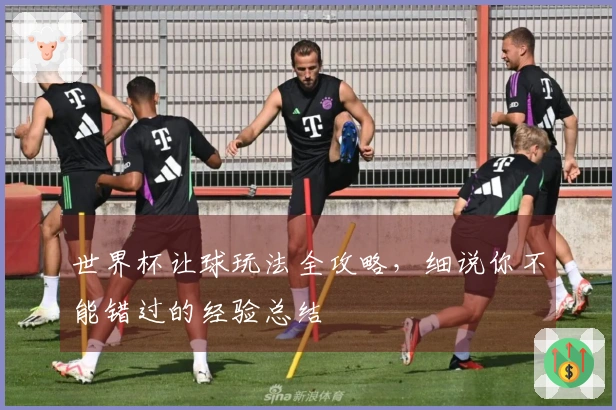 世界杯让球玩法全攻略，细说你不能错过的经验总结