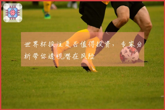 世界杯投注是否值得投资，专家分析带你透视潜在风险