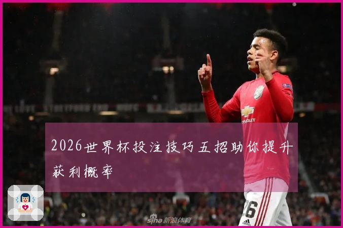 2026世界杯投注技巧五招助你提升获利概率