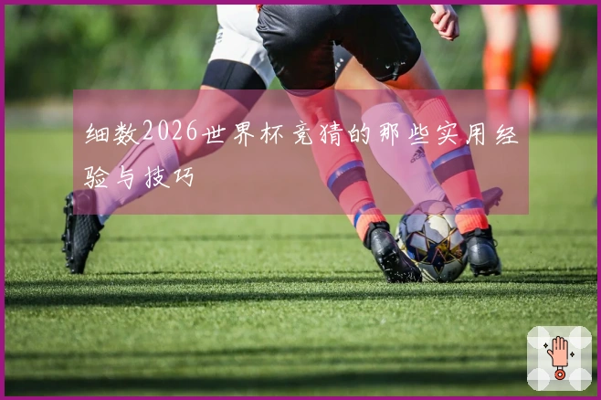细数2026世界杯竞猜的那些实用经验与技巧