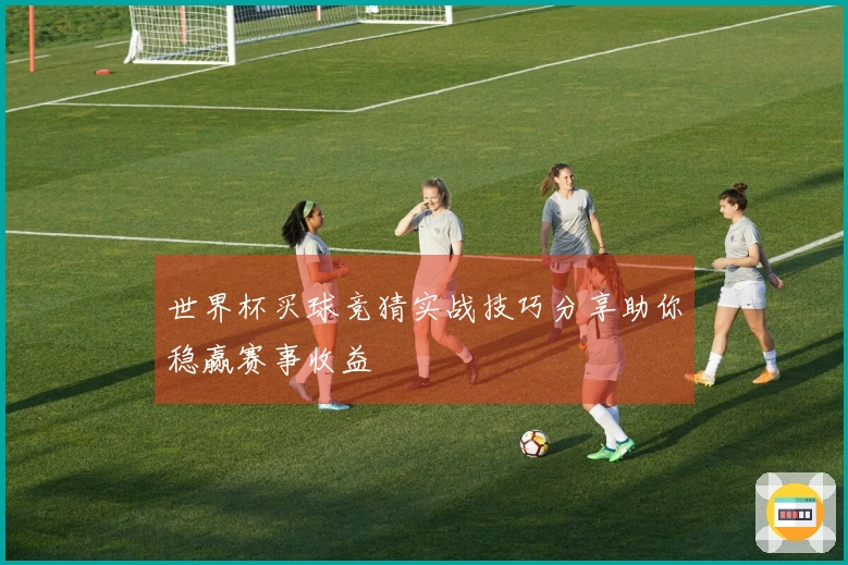 世界杯买球竞猜实战技巧分享助你稳赢赛事收益