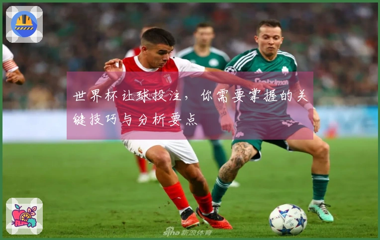 世界杯让球投注，你需要掌握的关键技巧与分析要点